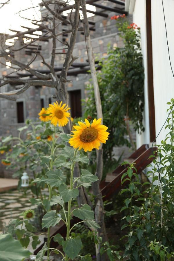 Akvaryum Hotel Bozcaada Exteriér fotografie